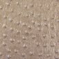 Preview: Metallic Kunstleder Aurora beige
